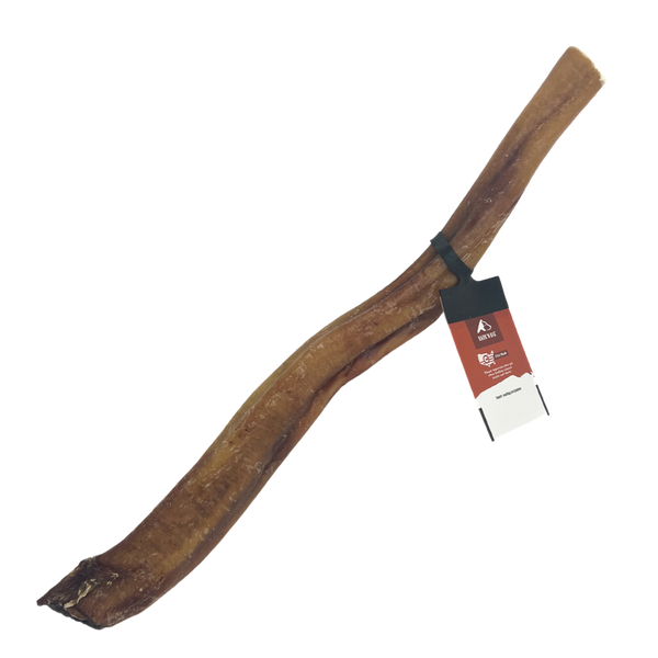 Bison Bully Stick 6" | 12"