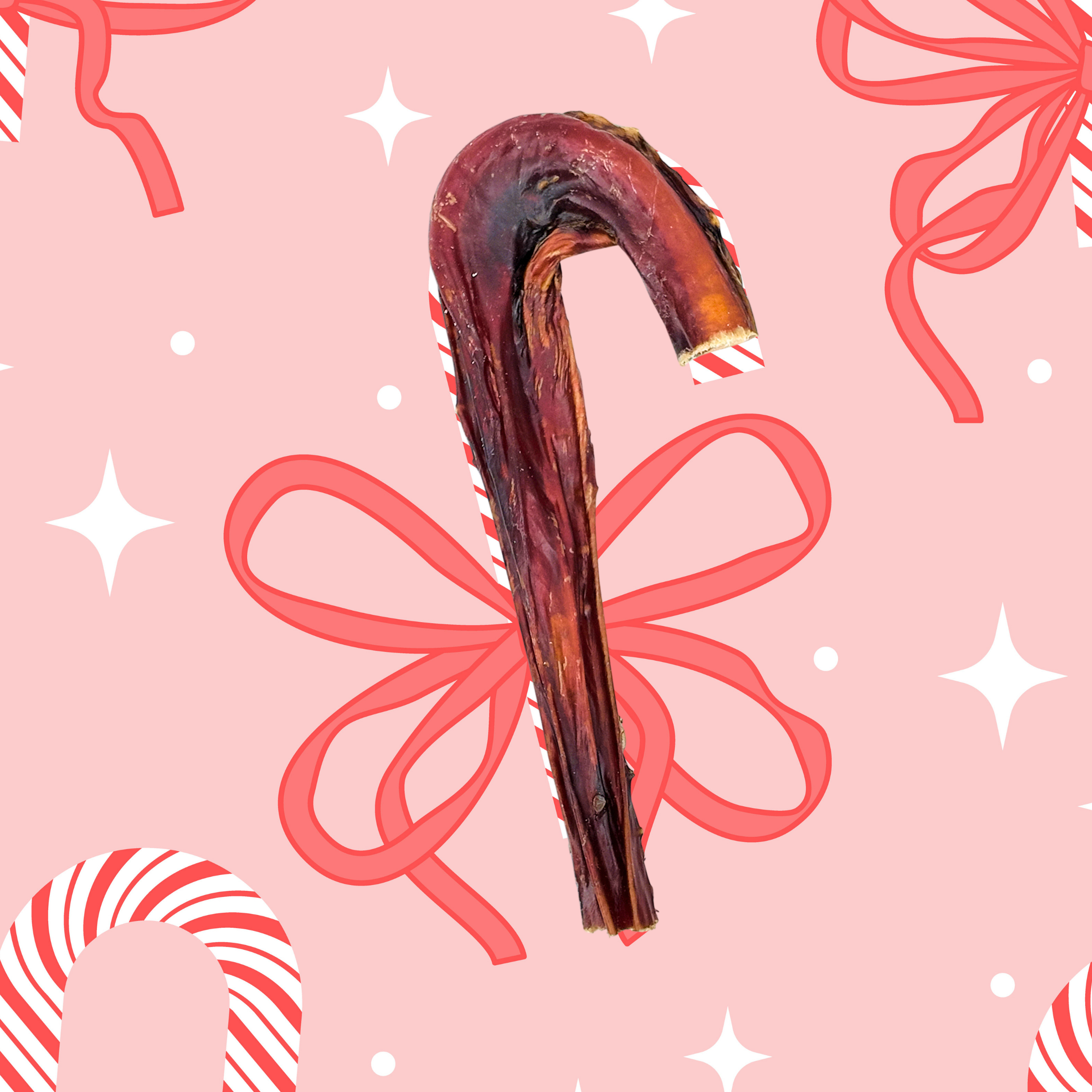 Steer Bully Candy Cane