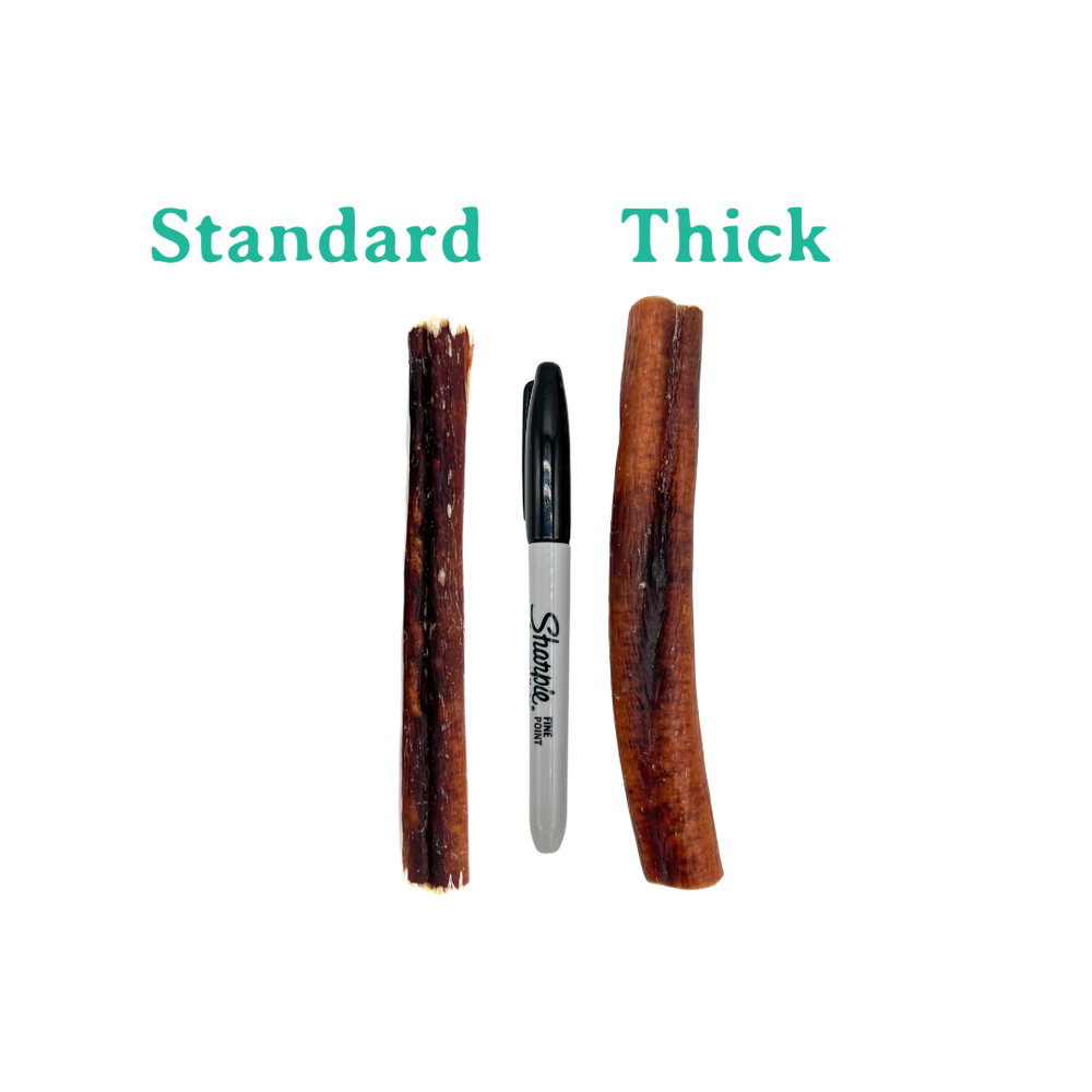 Beef Bully Stick 5-6" Standard | Thick (Case)