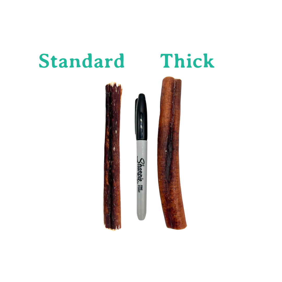 Beef Bully Stick 6" Standard | Thick (Case)