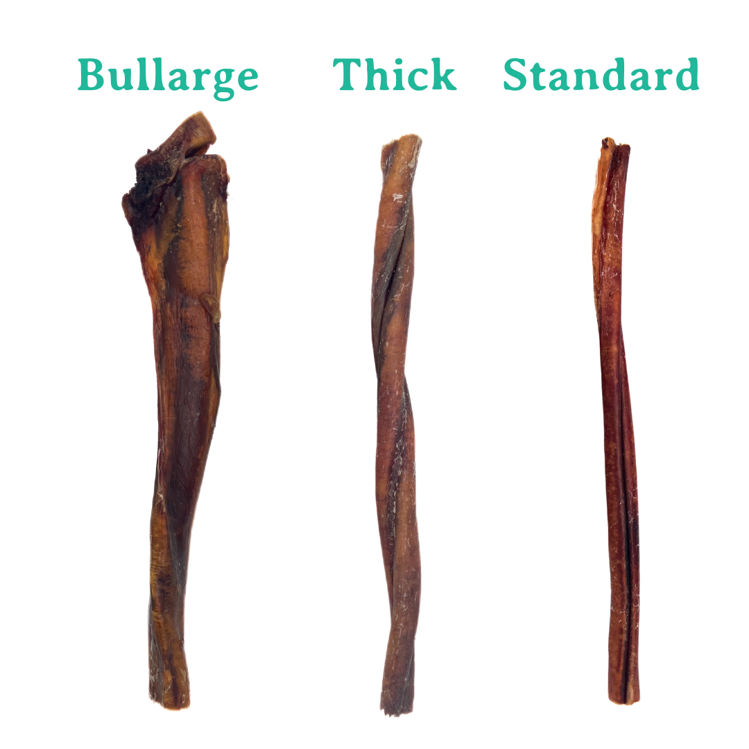 Beef Bully Stick 12" Standard | Thick (Case)