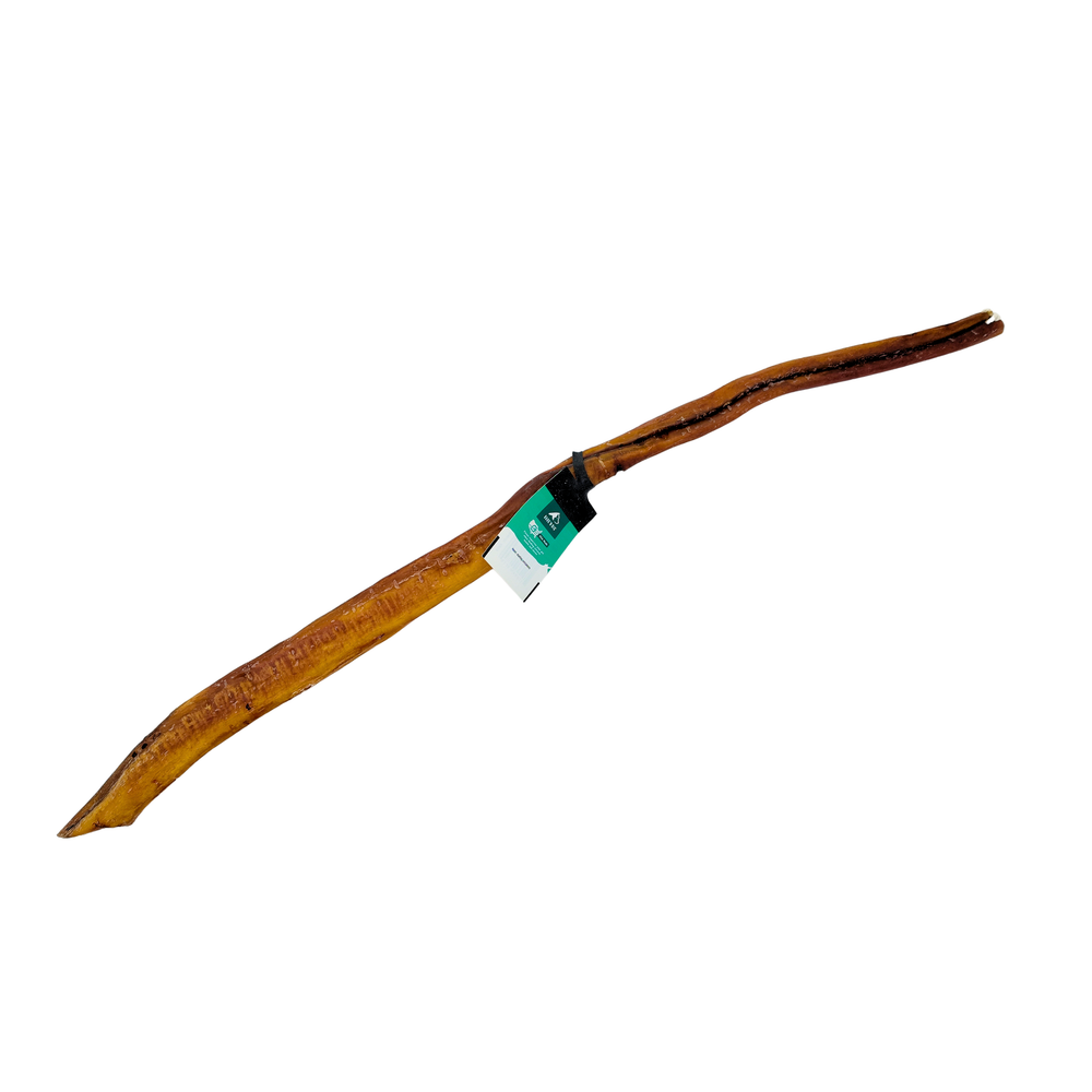 Bullossal Beef Bully Stick 24-26"