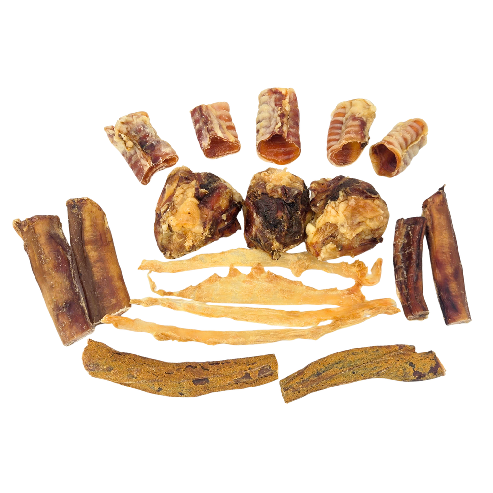 A flat lay of various dried beef bones and chews with cartilage. Pizzles and Turkey tendon ingredients, arranged neatly on a solid white background.