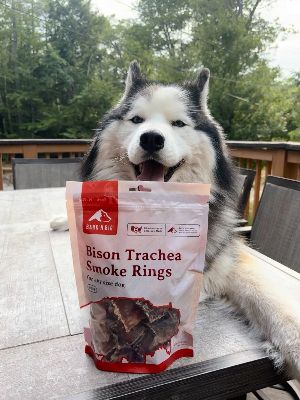 Husky with a package of 'Bison Trachea Smoke Rings' on a table outdoors