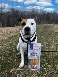 Dog sitting on grass with a package of Turkey Tendon in front